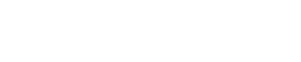 Bridge_logo_white